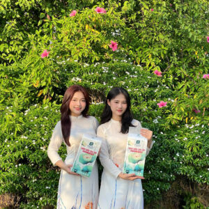 giấy rút treo tường tilo